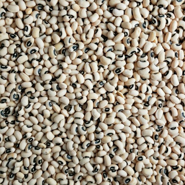Blackeye Beans