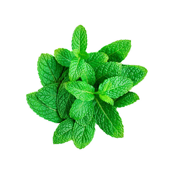 Mint